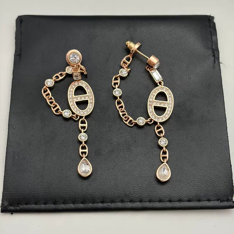 Zircon Tassel Drop Earrings