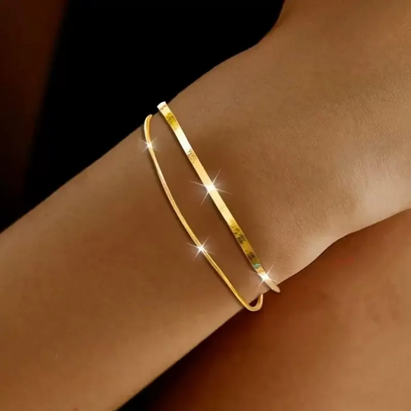Titanium Steel Snake Bone Chain Bracelet Double Layer