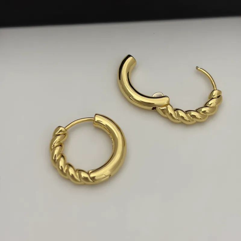 Alloy Twisted Circle Earrings