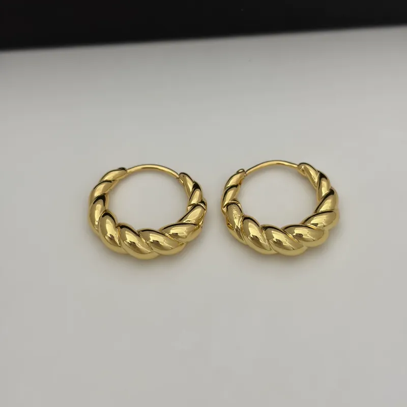Alloy Spiral Horn Earrings