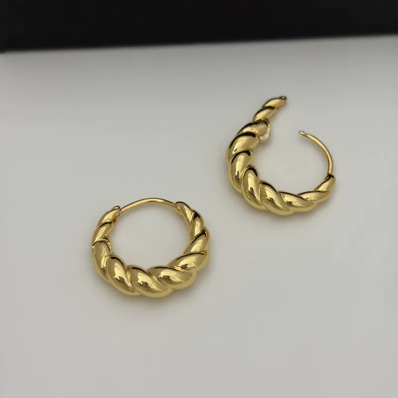 Alloy Spiral Horn Earrings