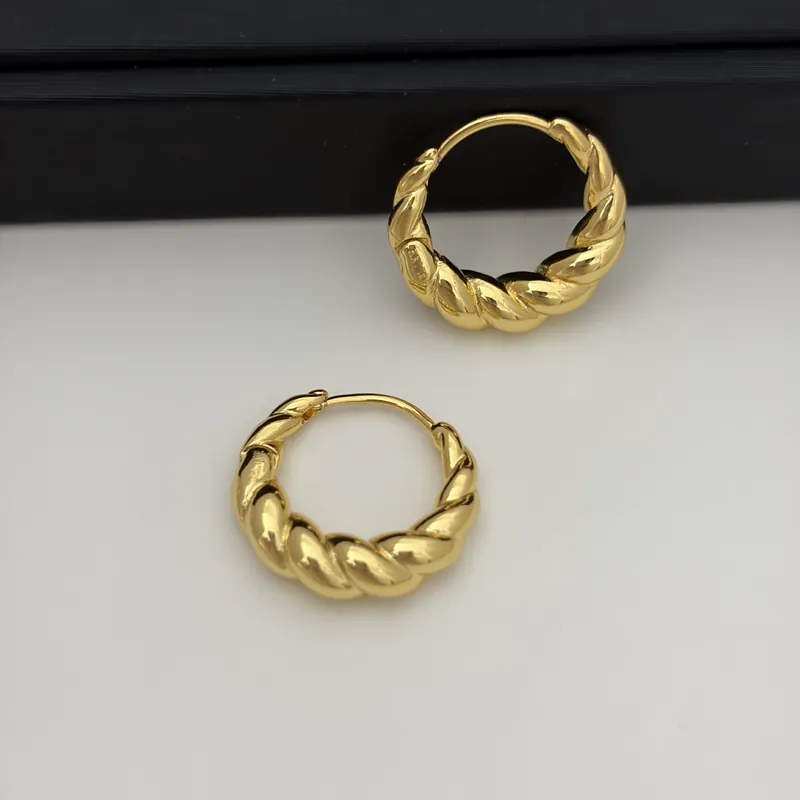Alloy Spiral Horn Earrings